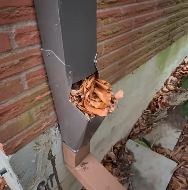 Clogged downspout filled with autumn leaves and debris at joint connection against brick wall, demonstrating common gutter maintenance issue