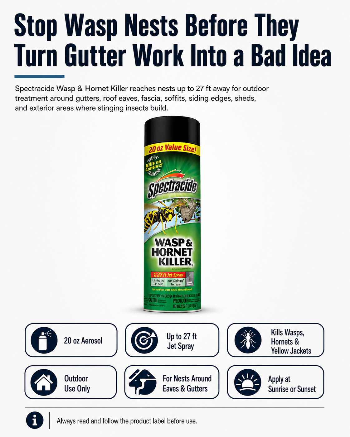 Spectracide Wasp and Hornet Killer 20 oz aerosol spray
