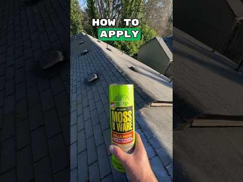 Bulk Moss Treatment from GutterAll – Simple Add‑On That Protects Your Roof & Gutter Jobs