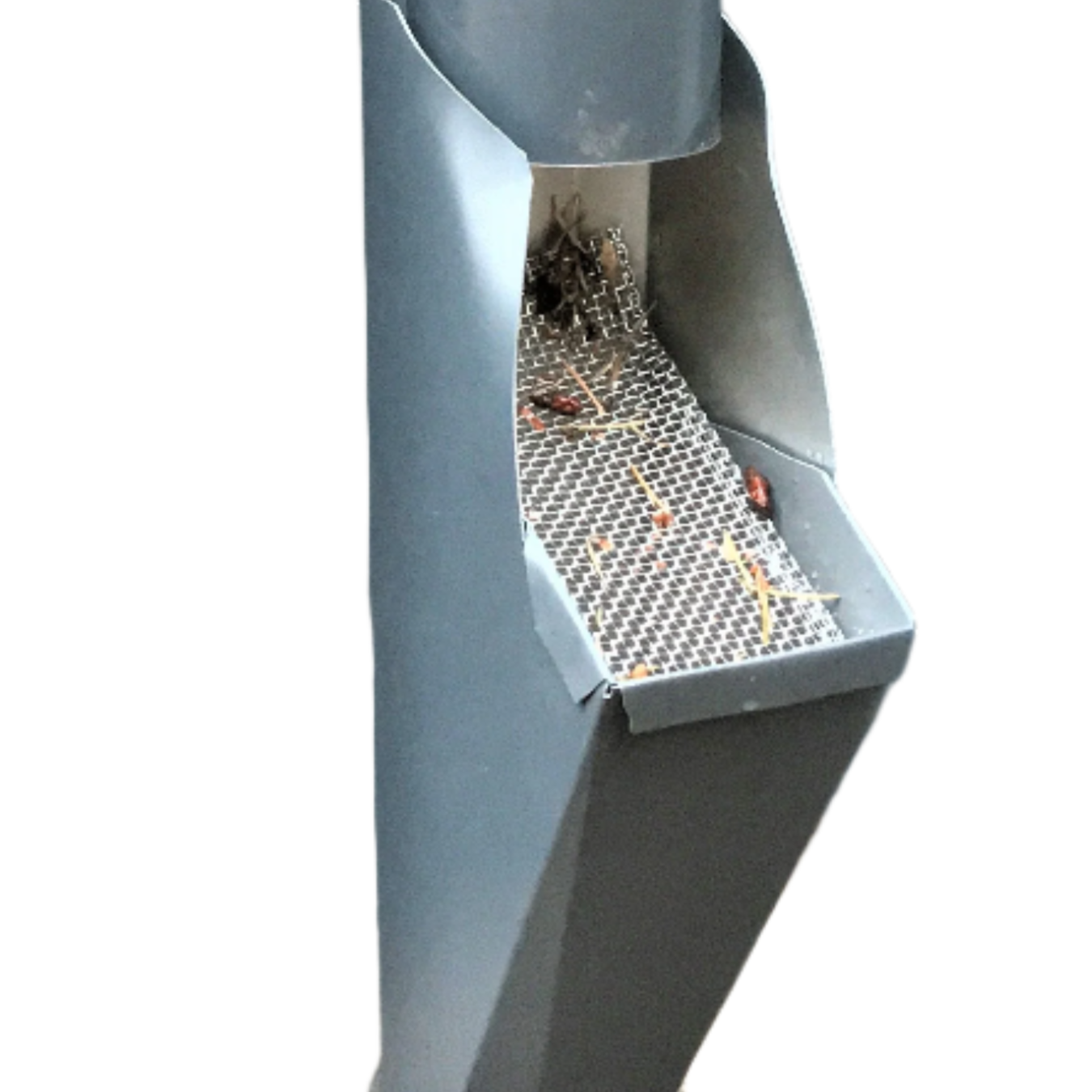 Gray GutterAll downspout cleanout screen with debris in the filter.