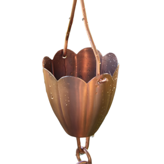 Copper rain chain cup with scalloped edges and water droplets.