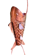 Detailed copper koi fish rain chain showcasing intricate scales and fins.