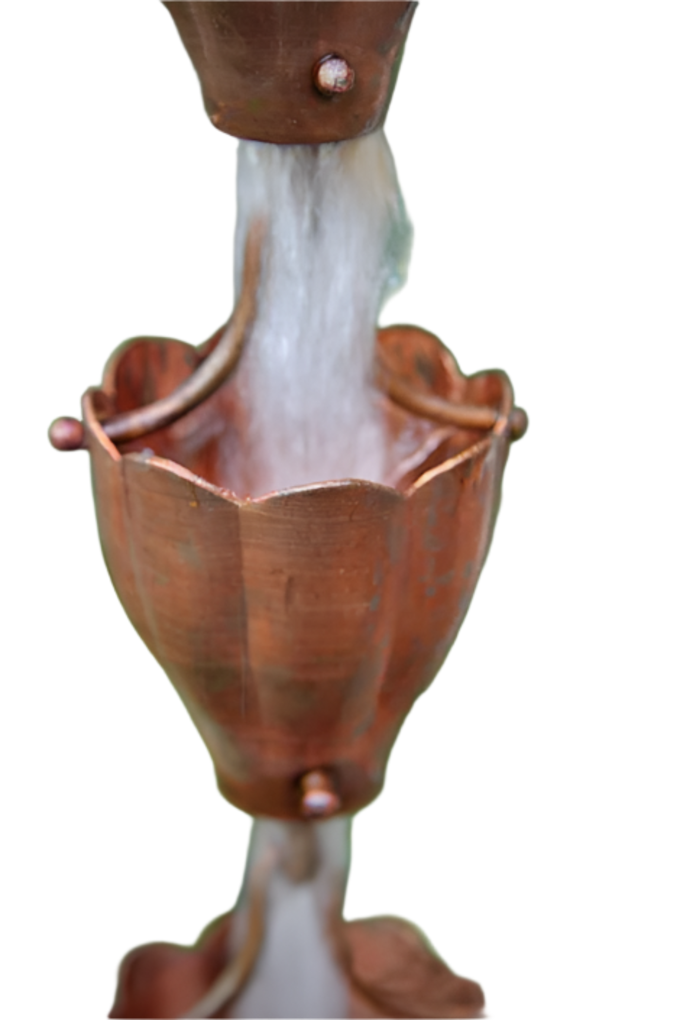 Close-up of a rounded funnel cup rain chain with water flowing through.
