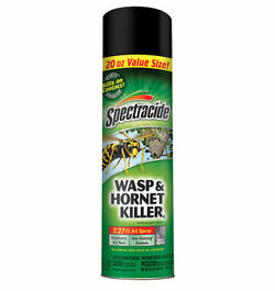 Spectracide Wasp & Hornet Killer spray can, 20 oz value size.