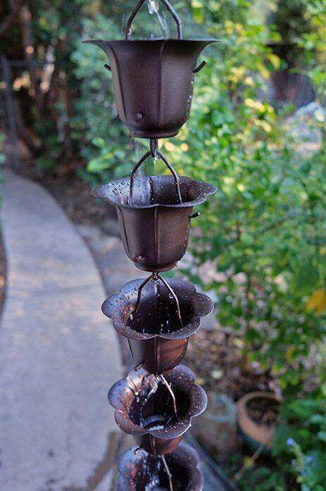 Full view of dark bronze buttercup rain chain with multiple cups in a garden.