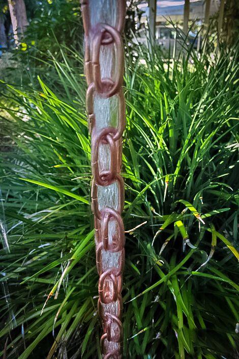 Copper double link rain chain with water flow, complementing lush garden.