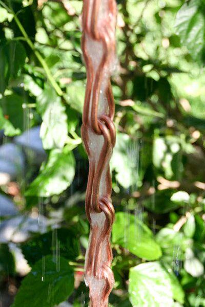 Decorative copper rain chain with water flowing against a green background.