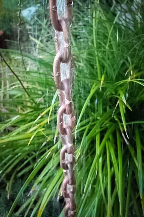 Rain chain with premium copper finish surrounded by green foliage.