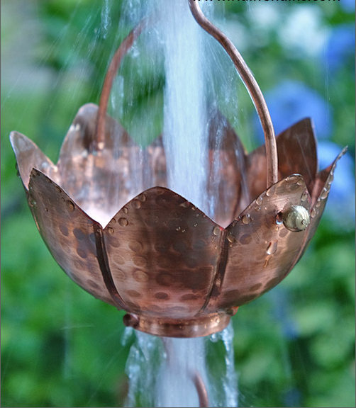 Copper lotus flower rain chain with water flowing through it.